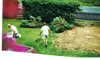 Gartenumbau 2008/2009