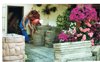 Gartenumbau 2008/2009