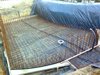 Poolbau 2011