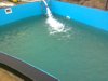 Poolbau 2011