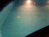 Poolbau 2011