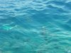 Urlaub 2005