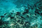 Urlaub 2007