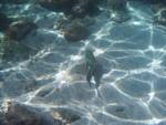 Urlaub 2008